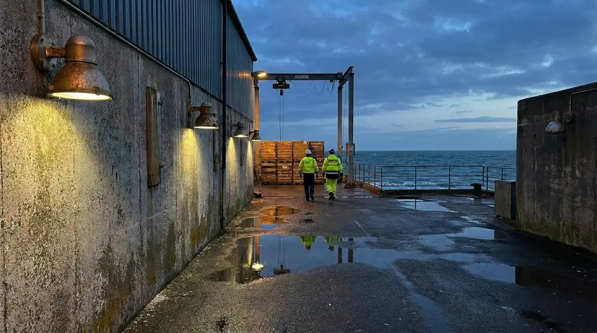 Production line workers benefiting from evenly distributed industrial task lighting