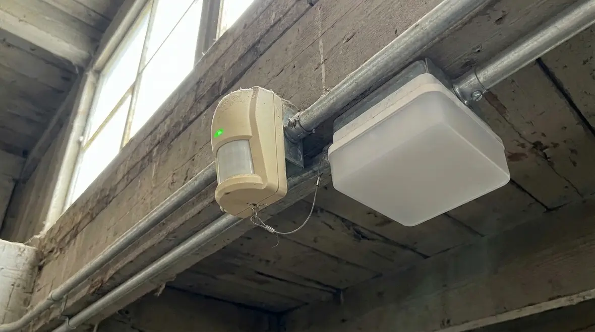 Smart warehouse lighting in action along pallet racks and aisles