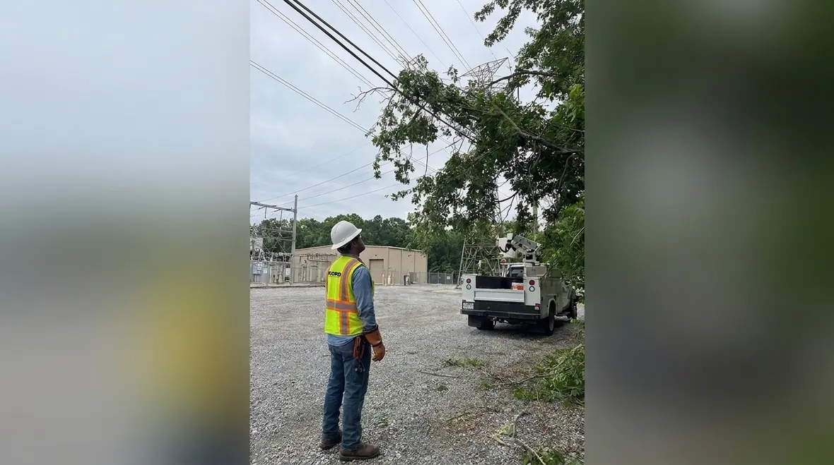 High voltage conductors near managed vegetation at a commercial facility