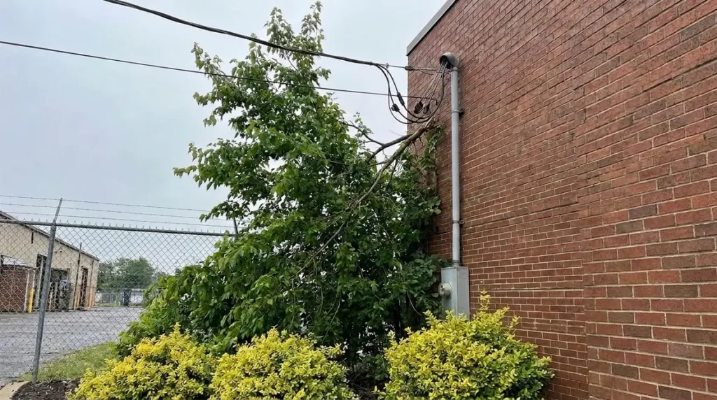 NEC Vegetation Conductor Support Guide for Commercial Sites