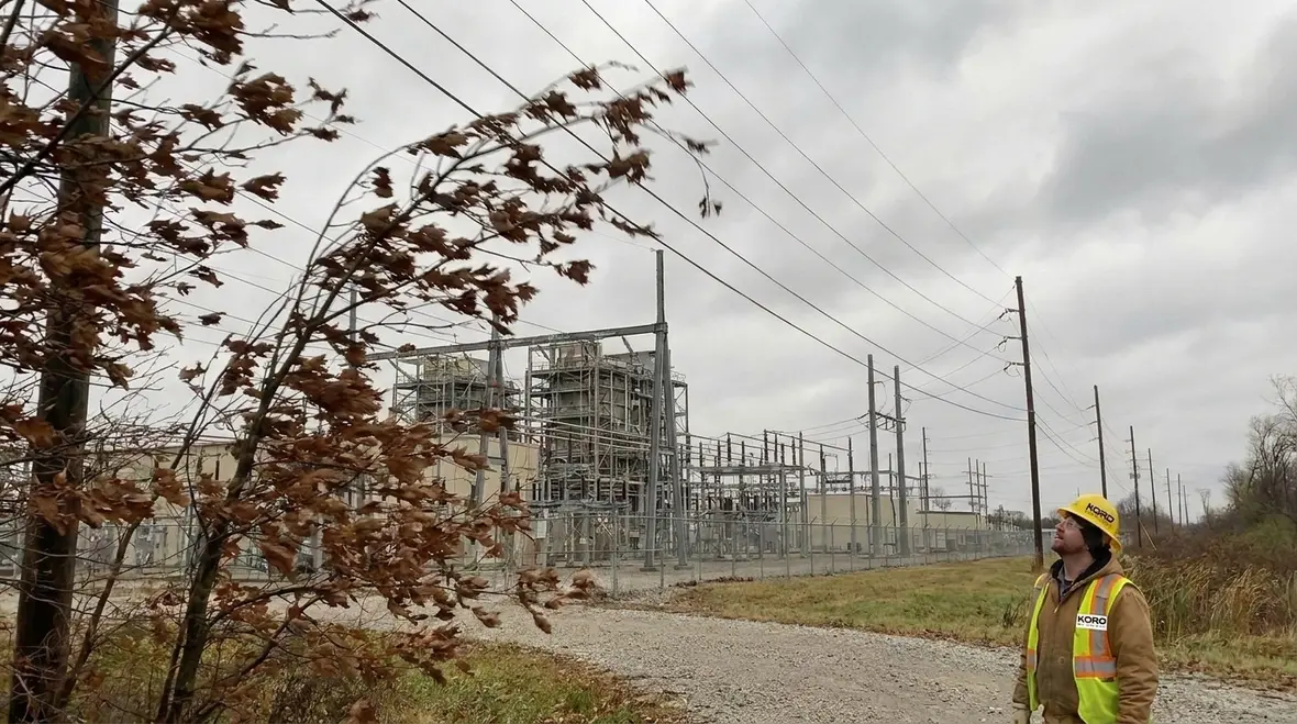 Vegetation near commercial electrical distribution equipment posing potential reliability risk